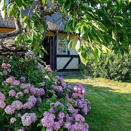 Idyllic Countryside Retreat-By Traum Dom wakacyjny Rudkøbing