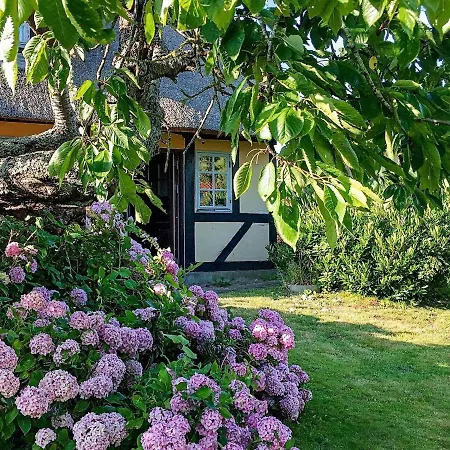 8 Person In Rudk Bing Holiday home